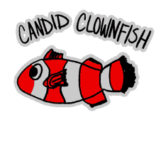 candid clownfish veefriends truthful blunt straightforward