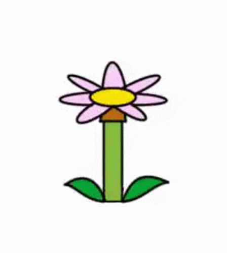 animated flower growing