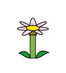 Flower Flower Growing GIF - Flower Flower Growing Animation GIFs
