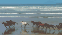 Wonderful Horses GIF - Wonderful Horses Running Horses GIFs