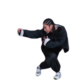 Kung Fu Stance Fighting Stance Sticker - Kung Fu Stance Fighting Stance Drunken Master Stickers