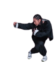 Kung Fu Stance Fighting Stance Sticker - Kung Fu Stance Fighting Stance Drunken Master Stickers