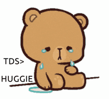 a brown teddy bear is sitting down with tears coming out of its eyes and the words tds > huggie are above it