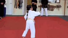 ganzgeo karate kick practicing