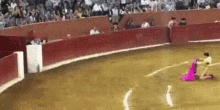 Bull Fight Raging Bull GIF - Bull Fight Raging Bull Ouch GIFs