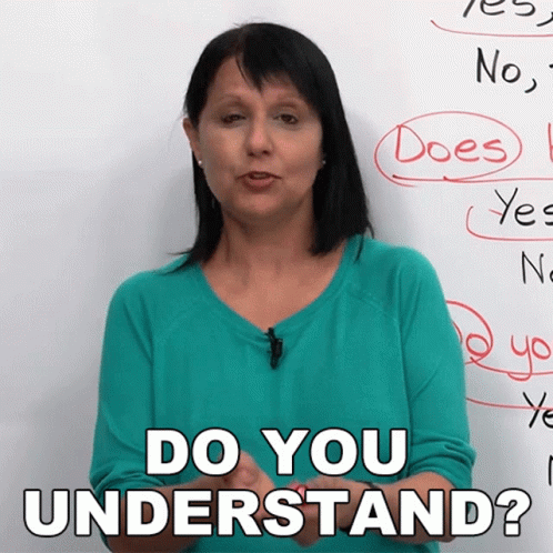 Do You Understand Rebecca GIF - Do You Understand Rebecca Engvid GIFs