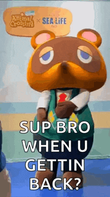 tom nook from animal crossing new horizons is standing in front of a wall .