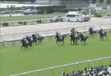 キズナ 競馬 GIF - Kizuna Keiba Horse Racing GIFs