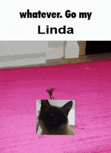a picture of a cat with the words whatever go my linda