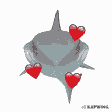 Shark In Love 111 GIF - Shark In Love 111 GIFs