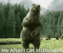 mcdonalds bear me after i get mcdonalds fast food dancing