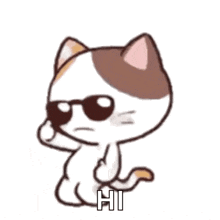Ok Dance Cat GIF - Ok Dance Cat GIFs