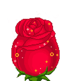 cute rose in bloom happy red
