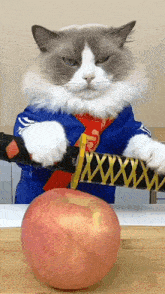 sheathing the sword puff meow chef that little puff slicing an apple