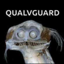 a picture of a worm with a mask on its face and the words qualvguard written above it .