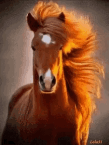 Red Horse Nice Hair GIF - Red Horse Nice Hair Hair GIFs