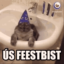 Feestbist Cat GIF - Feestbist Cat Fryslan GIFs