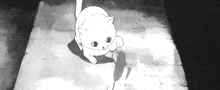 Cat Anime GIF - Cat Anime Blac K GIFs