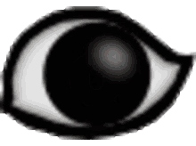 a close up of a black and white eye on a white background .