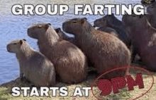 Group Farting Starts At9pm GIF - Group Farting Starts At9pm GIFs