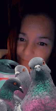 laugh drink up birds pigeons smile