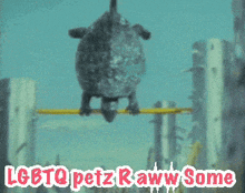 a picture of a shark with the words lgbtq petz raww some on the bottom