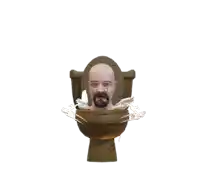 a man with glasses and a beard is sitting in a toilet bowl