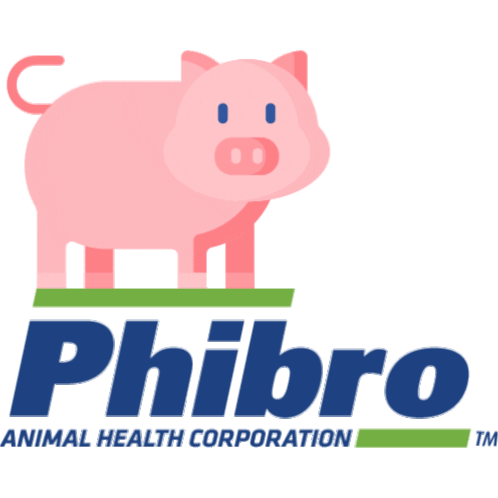 Phibro Pig Sticker - Phibro Pig Stickers