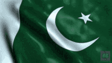 Pakistan Flag GIF - Pakistan Flag Flag Of Pakistan GIFs