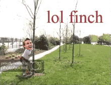Lol Finch GIF - Lol Finch Tree GIFs