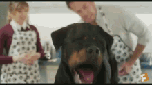 Dog Yelling GIF - Dog Yelling Funny Animals GIFs