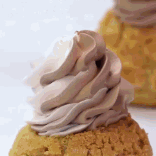 a close up of a cupcake with whipped cream on it