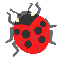 a ladybug with black spots on it 's back