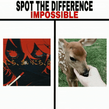a picture of a deer and a picture of a girl with the words spot the difference impossible below it