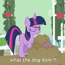 twilight sparkle from my little pony standing next to a pile of poop