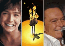 David Cassidy The Cassidy Rose GIF - David Cassidy The Cassidy Rose Anniversary GIFs