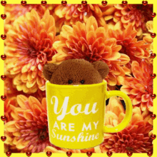 you are my sunshine teddy bear smile smiley mug