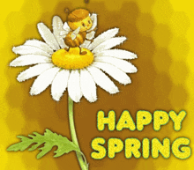 Spring GIF - Spring GIFs