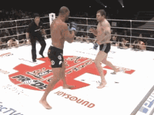 Fight Busted GIF