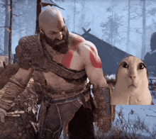God Of War Kratos GIF - God Of War Kratos Cat GIFs