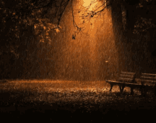 Autumn Showers After Dark GIF - Rain Rainy Park GIFs