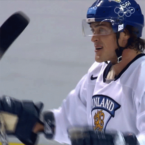 Teemu Selanne hit in face with stick (.GIF)