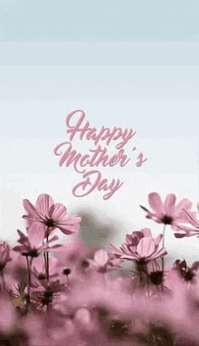 a field of pink flowers with the words `` happy mother 's day ''