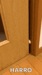 a cat 's paw is sticking out of a wooden door with the word harro written on it .