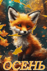 a fox is surrounded by autumn leaves and the word october is on the bottom right