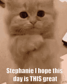 Stephanie I Hope This Day Is This Great Stephanie GIF - Stephanie I Hope This Day Is This Great Stephanie Great GIFs