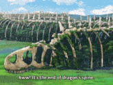 Dragons Spine Four Knights Of The Apocalypse GIF - Dragons Spine Four Knights Of The Apocalypse 4koa GIFs
