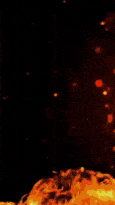a close up of a fire on a black background .