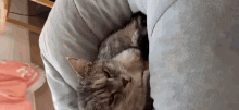 a cat is laying on a pillow on a bed .