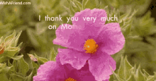 Mother Happy Mothers Day GIF